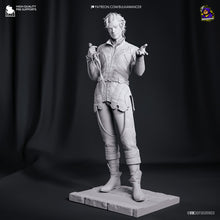 Load image into Gallery viewer, Astarion (Baldur's Gate 3) - Printed Miniature