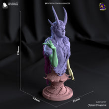Load image into Gallery viewer, Mizora (Baldur's Gate 3) - Printed Bust