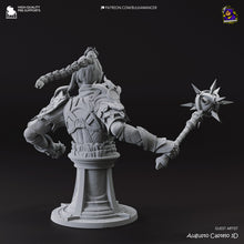 Load image into Gallery viewer, Shadowheart (Baldur's Gate 3) - Printed Bust