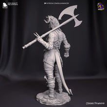 Load image into Gallery viewer, Wyll (Baldur's Gate 3) - Printed Miniature