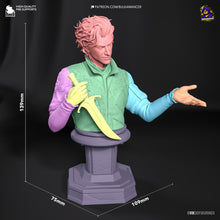 Load image into Gallery viewer, Astarion (Baldur's Gate 3) - Printed Bust
