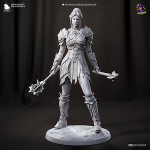 Minthara (Baldur's Gate 3) - Printed Miniature