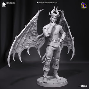 Raphael (Baldur's Gate 3) - Printed Miniature