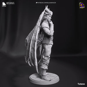 Raphael (Baldur's Gate 3) - Printed Miniature