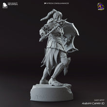 Load image into Gallery viewer, Shadowheart (Baldur&#39;s Gate 3) - Printed Miniature
