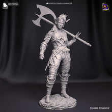 Load image into Gallery viewer, Wyll (Baldur&#39;s Gate 3) - Printed Miniature
