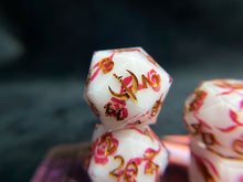 Load image into Gallery viewer, Porcelain - Red - Set of 8 Dice
