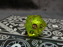 Load image into Gallery viewer, Assorted Single d20s
